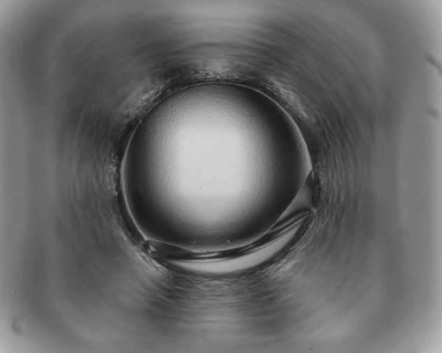 X0000091190450200708161554
