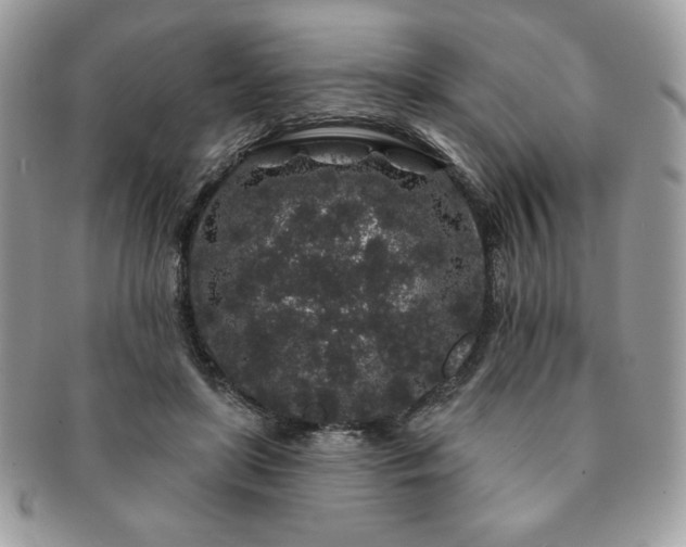 X0000091190451200708161554