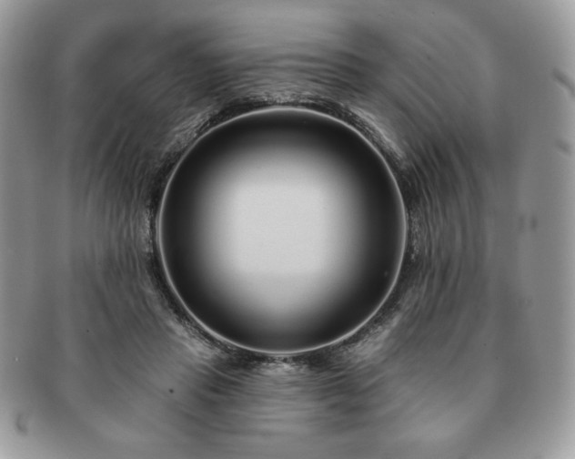 X0000091190453200708161554
