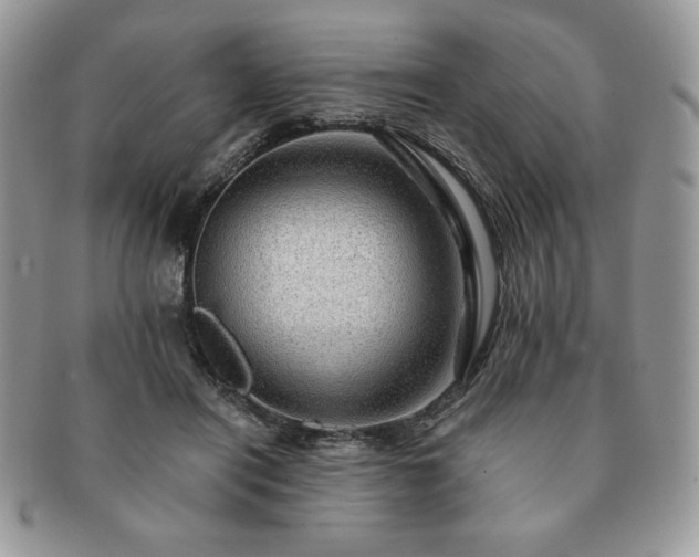 X0000091190454200708161554