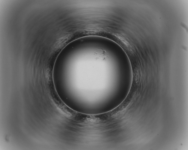 X0000091190455200708161554