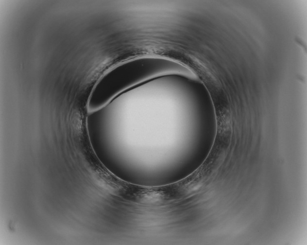 X0000091190456200708161554