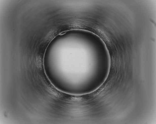 X0000091190457200708161554