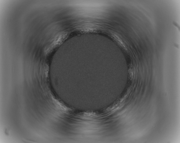 X0000091190458200708161554