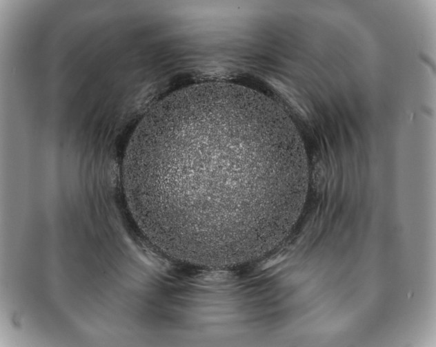 X0000091190459200708161554