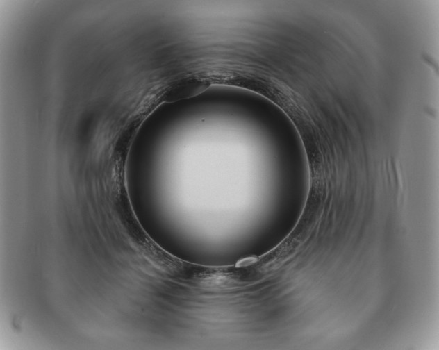 X0000091190460200708161554