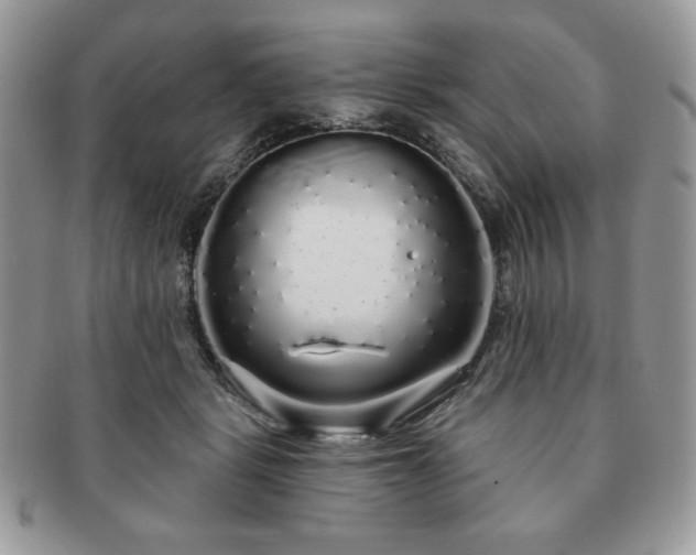 X0000091190461200708161554