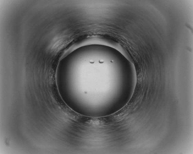 X0000091190464200708161554