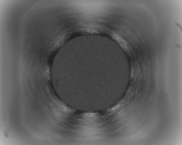 X0000091190465200708161554
