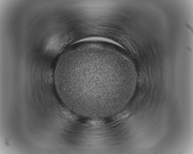 X0000091190466200708161554