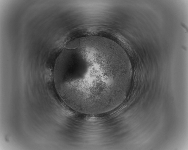 X0000091190467200708161554
