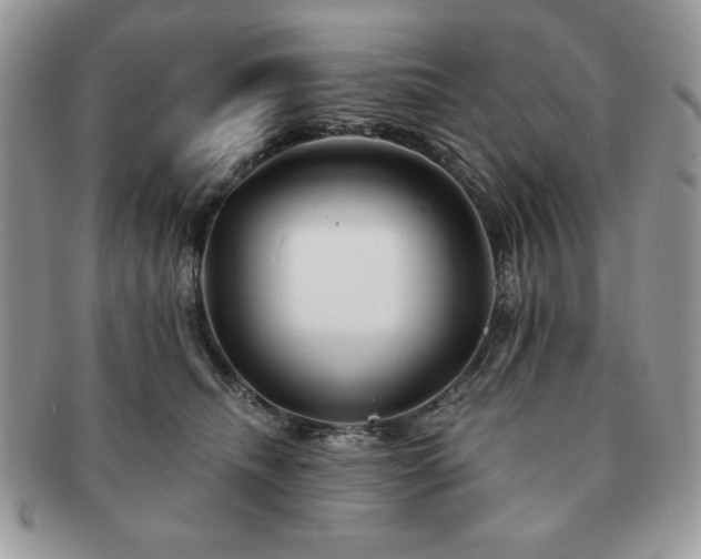 X0000091190468200708161554