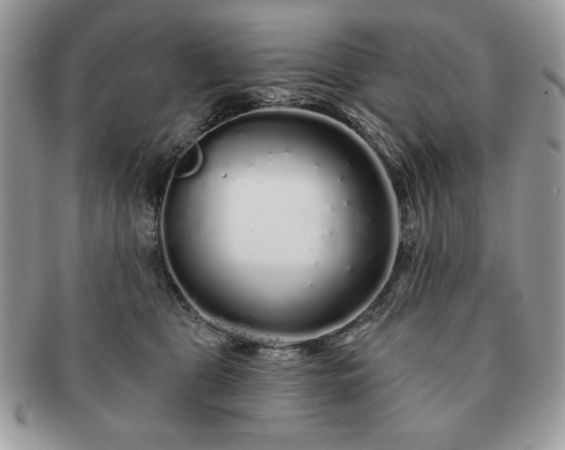 X0000091190469200708161554