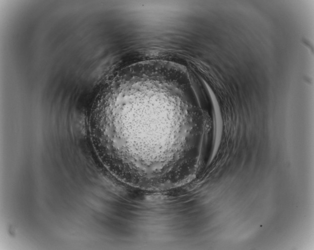 X0000091190470200708161554