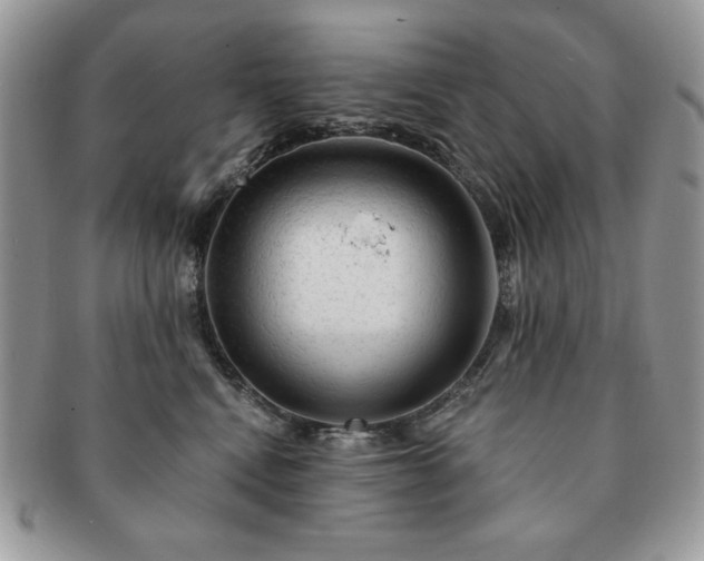 X0000091190472200708161555