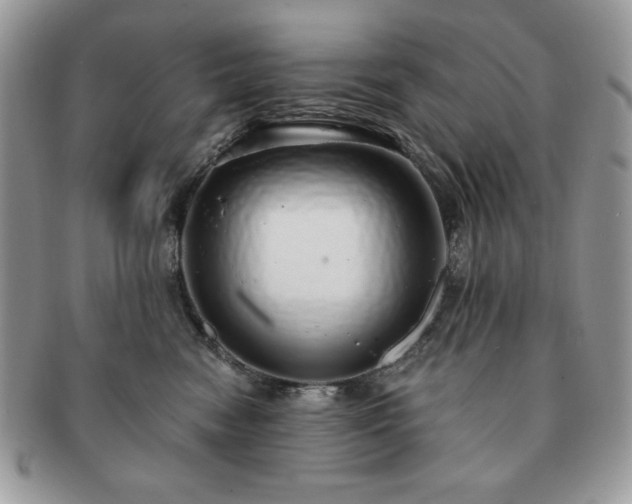 X0000091190474200708161555