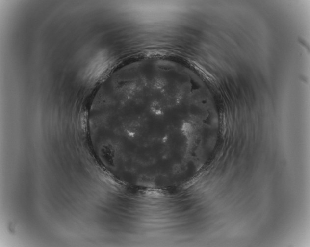 X0000091190475200708161555