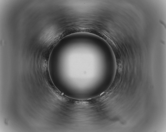 X0000091190476200708161555