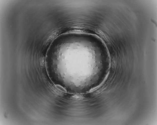X0000091190477200708161555