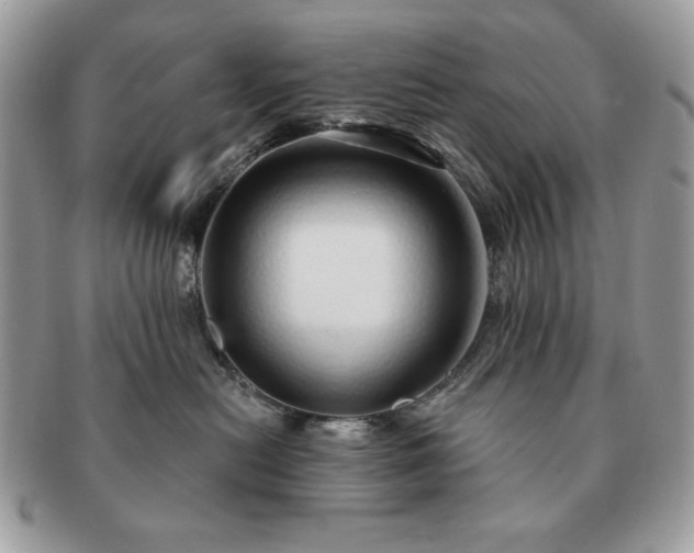 X0000091190478200708161555