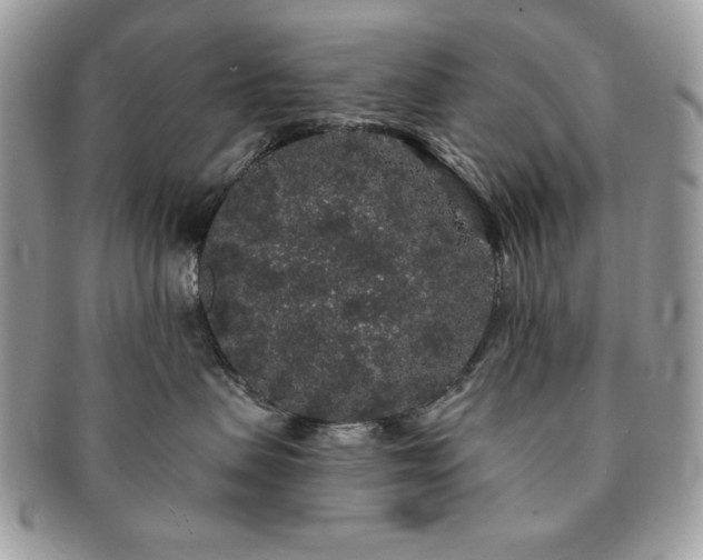 X0000091190479200708161555