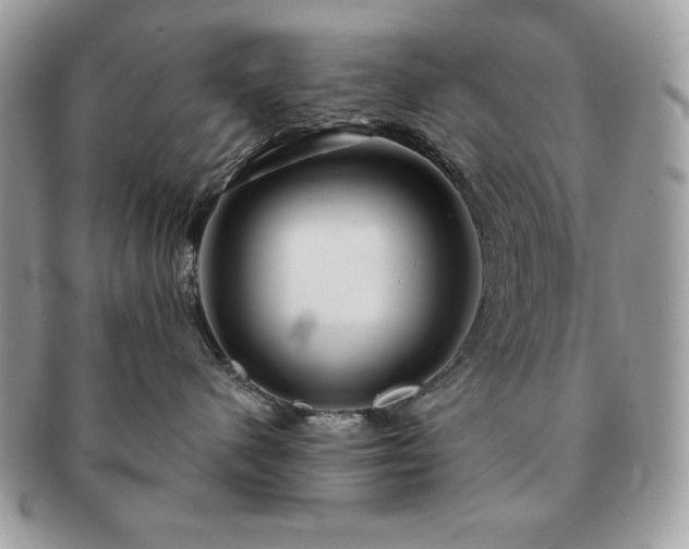 X0000091190480200708161555