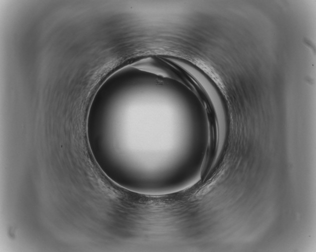 X0000091190481200708161554