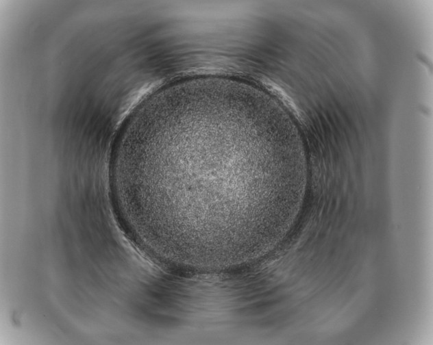 X0000091190482200708161554