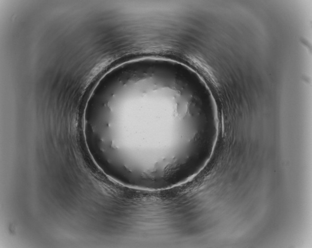 X0000091190483200708161554