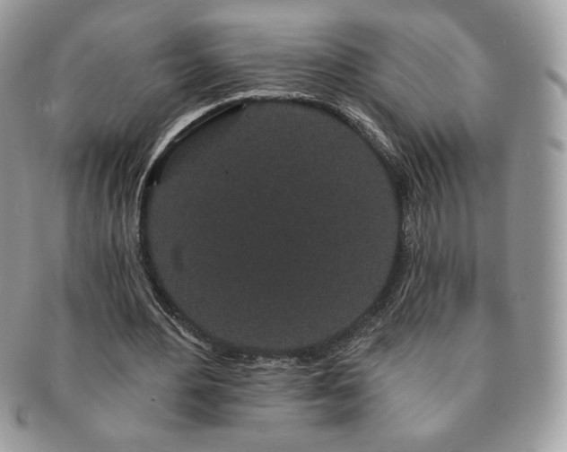 X0000091190484200708161554