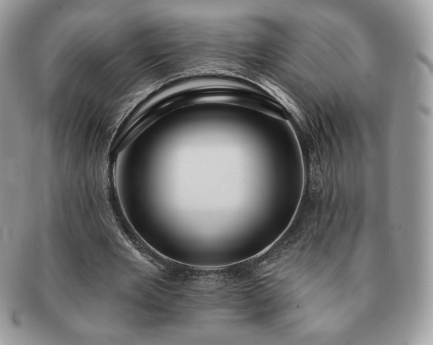 X0000091190485200708161554