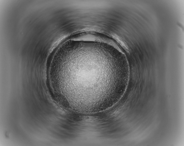 X0000091190486200708161554