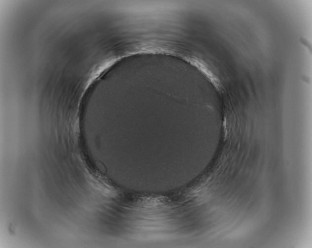 X0000091190488200708161554