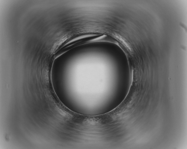 X0000091190489200708161554