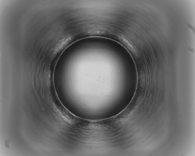 X0000091190490200708161554