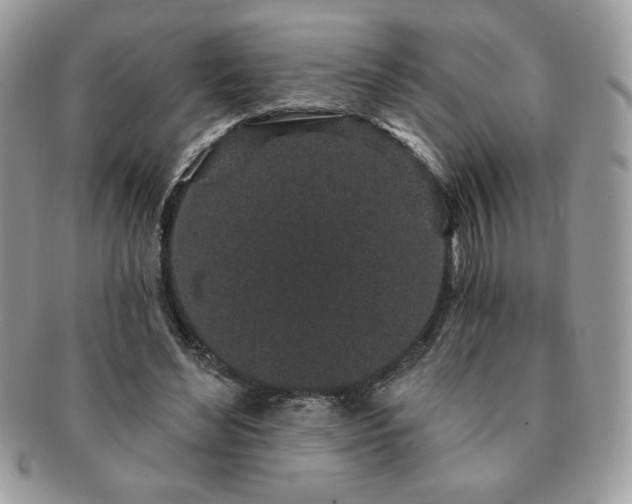 X0000091190492200708161554