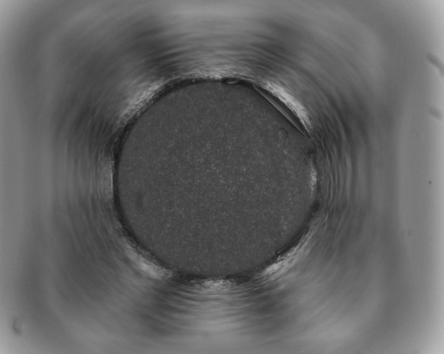 X0000091190493200708161554