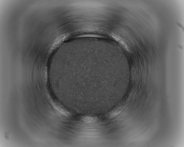 X0000091190494200708161554