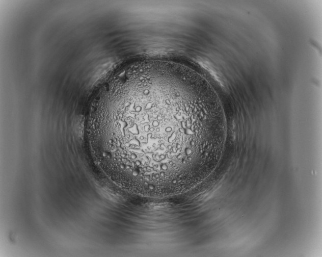 X0000091190495200708161554