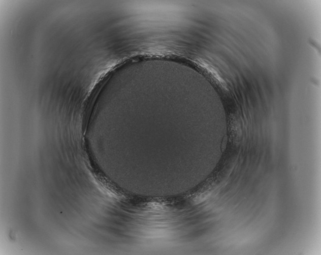 X0000091190496200708161554