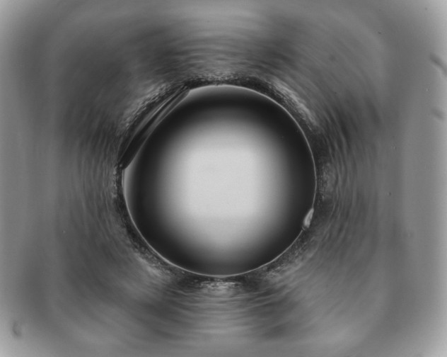X0000091190497200708161554