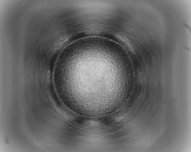 X0000091190498200708161554
