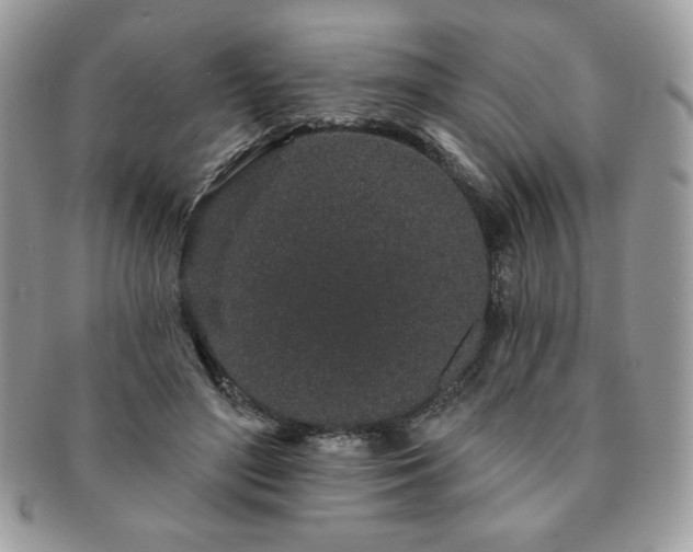 X0000091190500200708161554