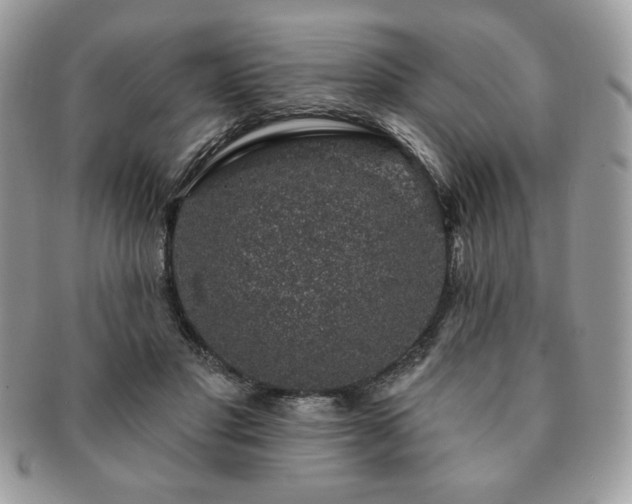 X0000091190501200708161554
