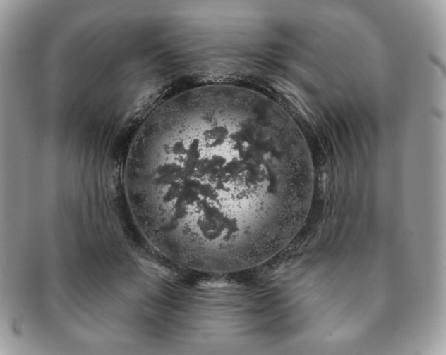 X0000091190503200708161554