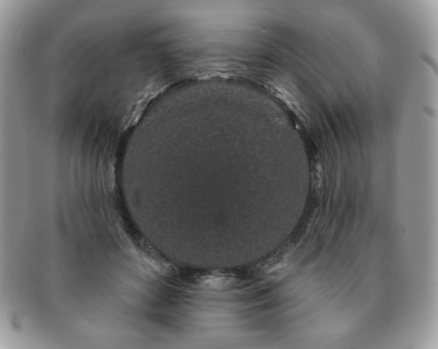 X0000091190504200708161554