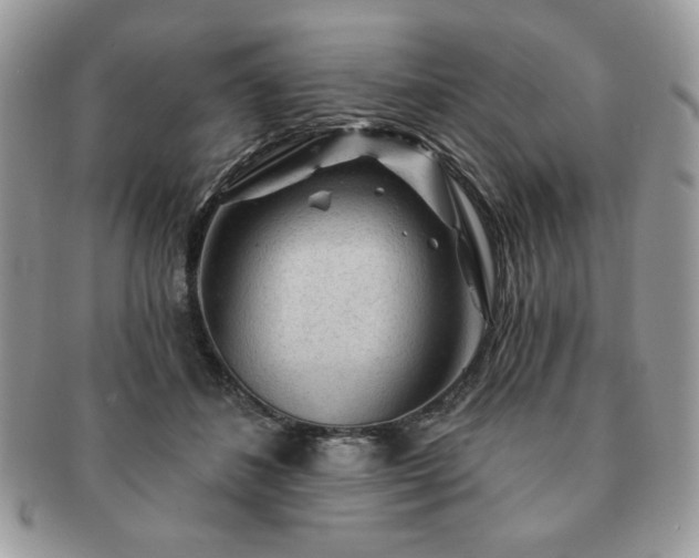 X0000091190508200708161554