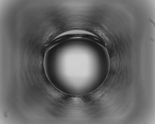X0000091190509200708161554