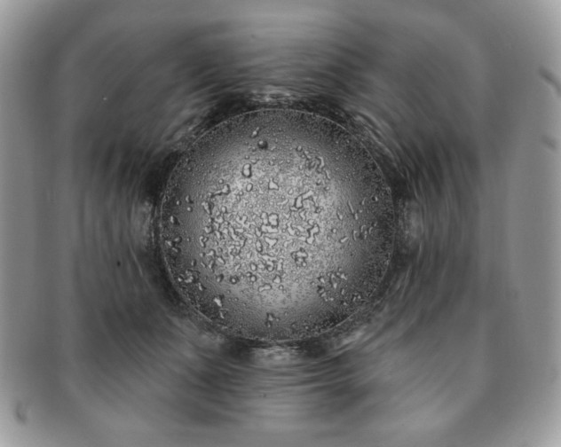 X0000091190511200708161554