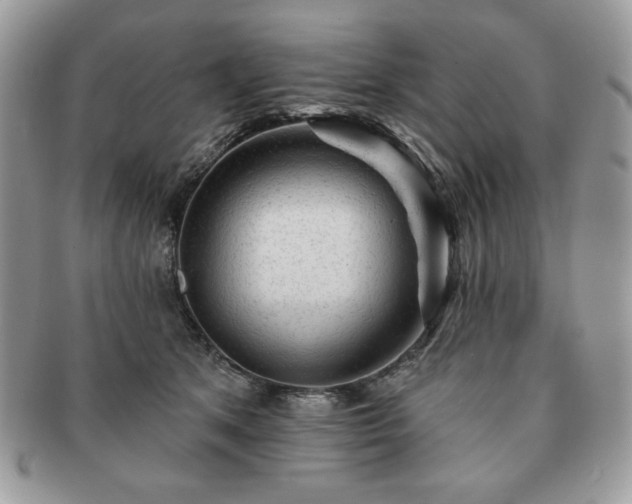 X0000091190513200708161554